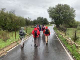 54: IMG_2133<br>  2020-01-24