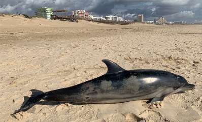 55: IMG_2139<br>  2020-01-25