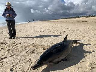 56: IMG_2141<br>  2020-01-25