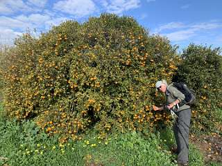 57: IMG_2143<br>  2020-01-26