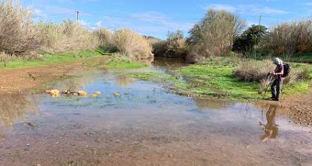 58: IMG_2145<br>  2020-01-26