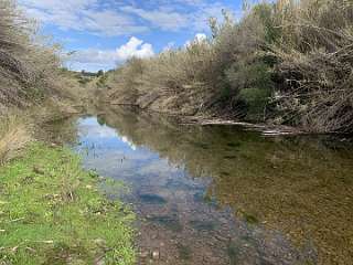 60: IMG_2147<br>  2020-01-26