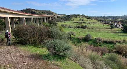 61: IMG_2149<br>  2020-01-26