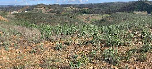 62: IMG_2150<br>  2020-01-26