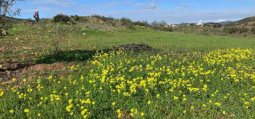 64: IMG_2153<br>  2020-01-26