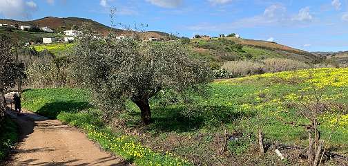 66: IMG_2156<br>  2020-01-26