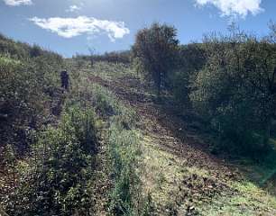 71: IMG_2161<br>  2020-01-26