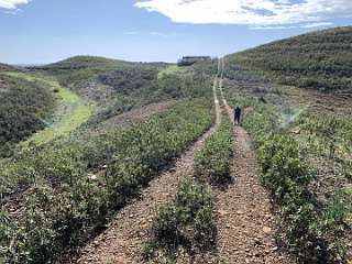 72: IMG_2162<br>  2020-01-26