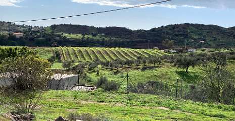 75: IMG_2165<br>  2020-01-26