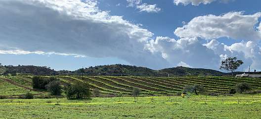 76: IMG_2166<br>  2020-01-26