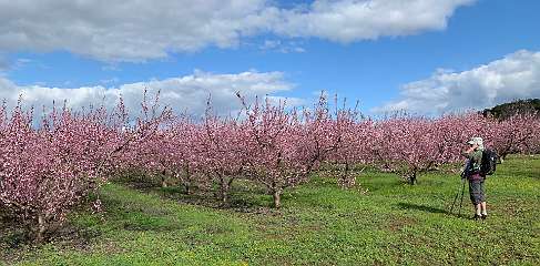 78: IMG_2172<br>  2020-01-26