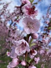 79: IMG_2173<br>  2020-01-26