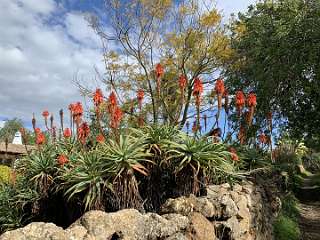 80: IMG_2176<br>  2020-01-26