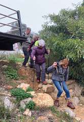 117: IMG_2237<br>  2020-01-29