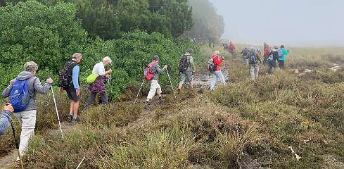 118: IMG_2239<br>  2020-01-29