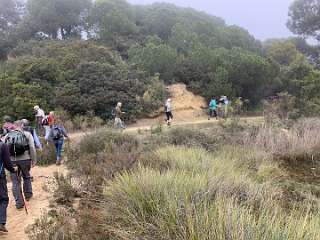 119: IMG_2243<br>  2020-01-29