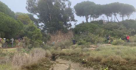 120: IMG_2244<br>  2020-01-29