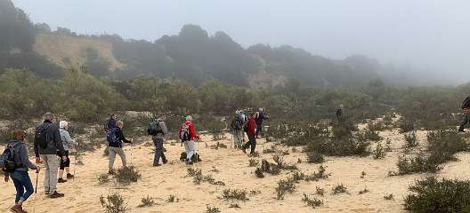 121: IMG_2246<br>  2020-01-29