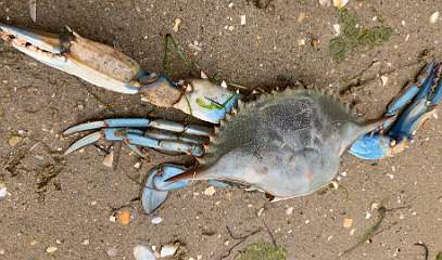 123: IMG_2248<br>  2020-01-29