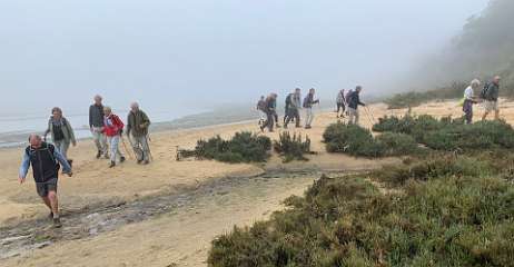 124: IMG_2249<br>  2020-01-29