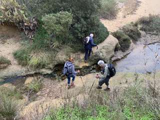 125: IMG_2250<br>  2020-01-29