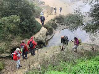 126: IMG_2251<br>  2020-01-29