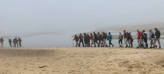 130: IMG_2260<br>  2020-01-29