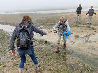 131: IMG_2262<br>  2020-01-29