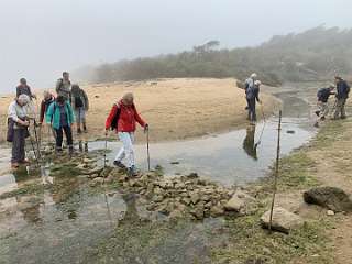 132: IMG_2263<br>  2020-01-29