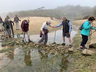 133: IMG_2264<br>  2020-01-29