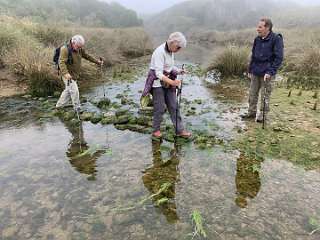 135: IMG_2267<br>  2020-01-29