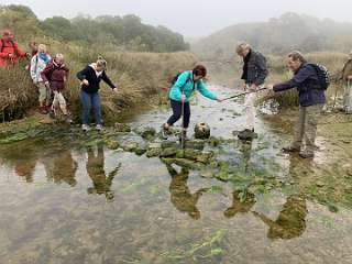 136: IMG_2268<br>  2020-01-29