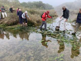 137: IMG_2269<br>  2020-01-29