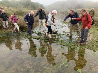 138: IMG_2270<br>  2020-01-29