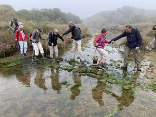 139: IMG_2271<br>  2020-01-29