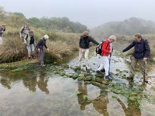 140: IMG_2272<br>  2020-01-29