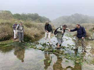 141: IMG_2273<br>  2020-01-29