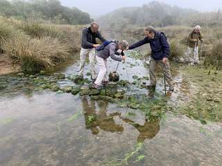 142: IMG_2274<br>  2020-01-29