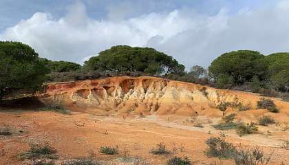 145: IMG_2281<br>  2020-01-30