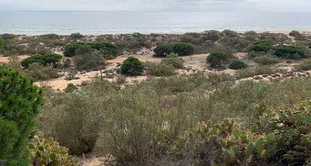 146: IMG_2282<br>  2020-01-30