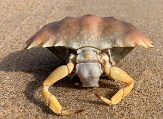 148: IMG_2285<br>  2020-01-30