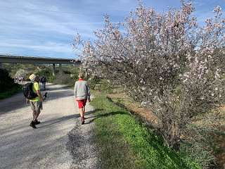 189: IMG_2313<br>  2020-02-05