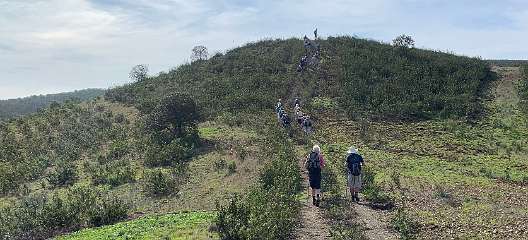 191: IMG_2316<br>  2020-02-05