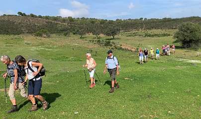 202: IMG_2328<br>  2020-02-05