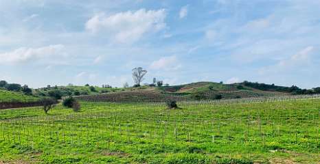 203: IMG_2330<br>  2020-02-05