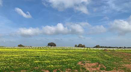 205: IMG_2332<br>  2020-02-05