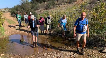 207: IMG_2335<br>  2020-02-07