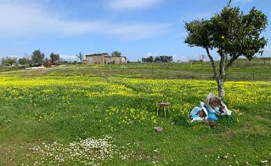 210: IMG_2344<br>  2020-02-07