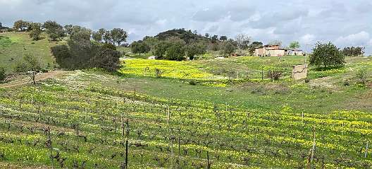 211: IMG_2346<br>  2020-02-07