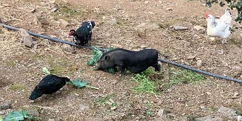 212: IMG_2347<br>  2020-02-07